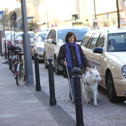 Eine blinde Frau mit Führhund läuft entlang eines Gehweg, links von ihr parkende Taxis.