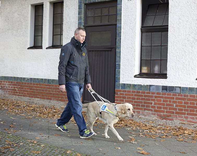 Ein Mann läuft mit seinem Blindenführhund auf dem Gehweg. Er hält das Führgeschirr mit der linken Hand.